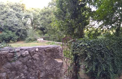 Jankovich Castle - Photo 23