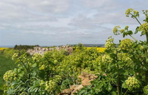 The Old Reading Room - Photo 37