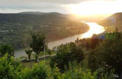 Apartment an der Mosel 1 - Foto 43