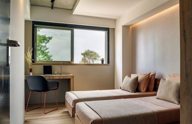 3 Olive Trees - Foto 9