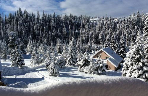 Secluded Cabin Rental with a Covered Back Deck in Elk City, Idaho - Foto 1