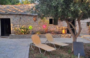 Family friendly house with a swimming pool Benkovac, Zagora - 21720 - Foto 9