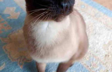 Rooftop en centre ville - Foto 35