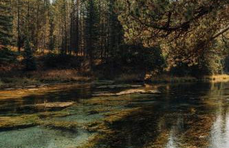 20 min to Yellowstone, Family Cabin, Fire Pit - Photo 34