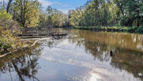 Hidden River Cabin - Foto 3