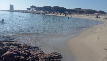 Sa dommo de Predu - Foto 4