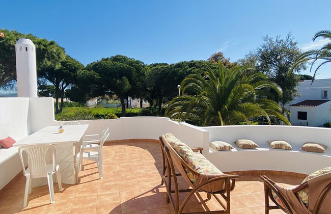 Azinheira CIP - Photo 53