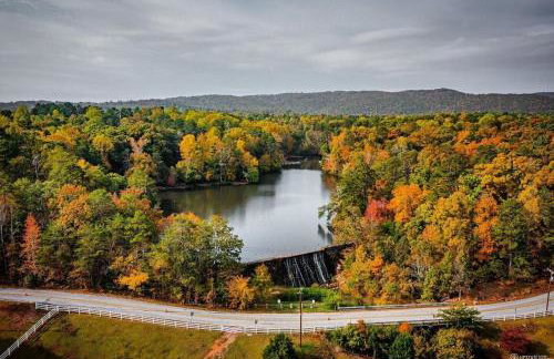 BikeslParkPasslPizzaOvenlSnoConelYouTubeTVlEV - Photo 39