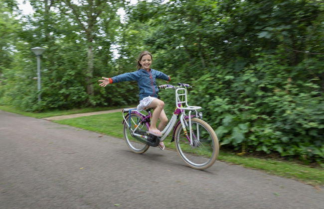 Holiday Home in North Holland Near Beach - Foto 23