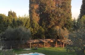 Casetta nel Bosco - Foto 44