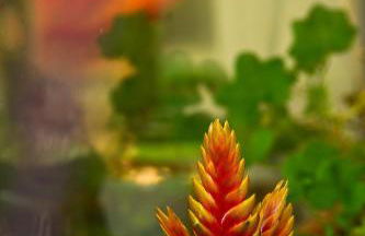 Agriturismo IL BORGHETTO - Photo 18