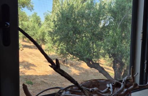 Tritsili house - Photo 68