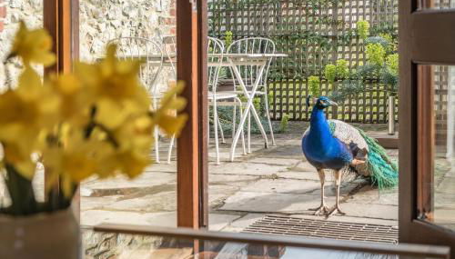 The Garlic Farm - Photo 5