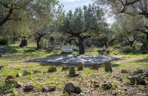 Suite Premium en la naturaleza - Foto 23