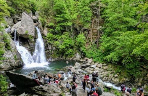 Copake Lakes Hidden Treasure - Foto 22