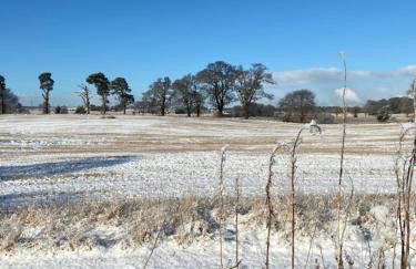 Dalvey Ploughmans Cottage - Foto 24