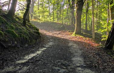La Vieille Maison aux Canards - Foto 53