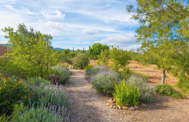 Cas Pilot in Santa Maria del Cam - Photo 29