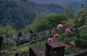 All ' ombra del lauro - Foto 26