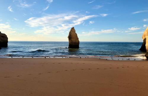 Casa Girassol - Foto 25