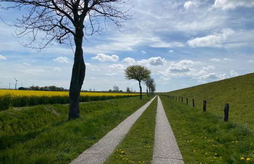 Appartement 1 mit Küche und neuem Bad, frisch saniert - Foto 36