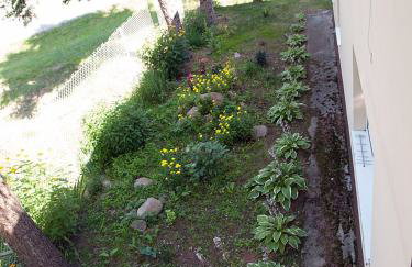 Gospodarstwo Agroturystyczne w Borszycach - Foto 25