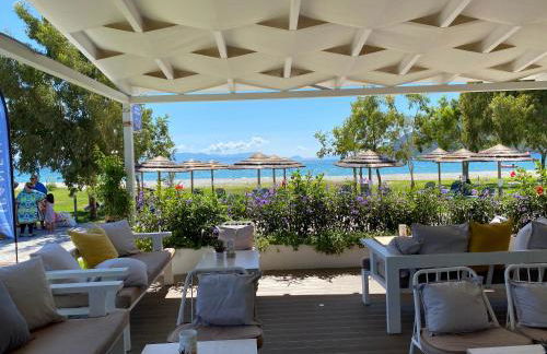 Odeon Hotel - Photo 146