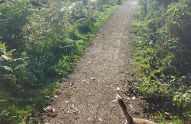 Chatterley House - Foto 61