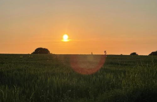 Schleikate Ekenis - Foto 16