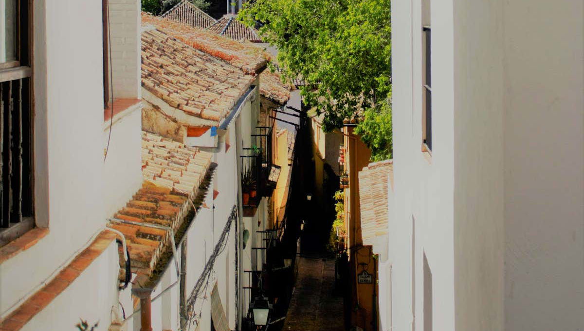 Offre : Alhambra + Albaicín - Photo 1