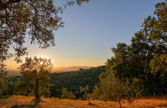 Agriturismo Podere Rondinaio - Foto 52