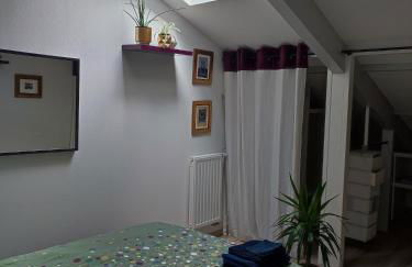 Location de charme T3 au 2e étage et dernier étage - Foto 37