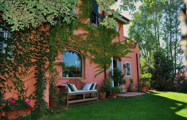 Podere L'Olmaia - Foto 42