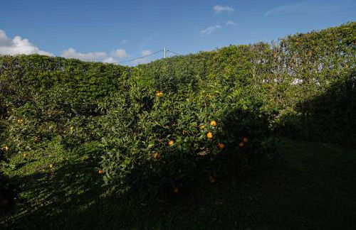 Quinta do Ferreiro - Photo 66