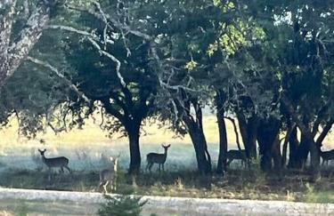 Dome Sweet Dome - Foto 8