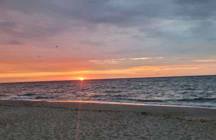 Ferienhaus Ringhuus - Foto 8