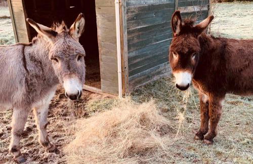 La Sellerie at No 17 - Foto 12