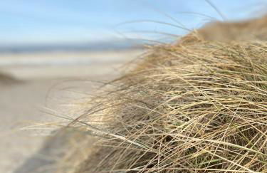 Strandstern Norddeich - Foto 12