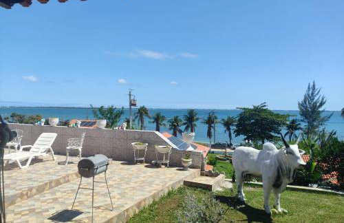 Mirante da Gavião House - Foto 19