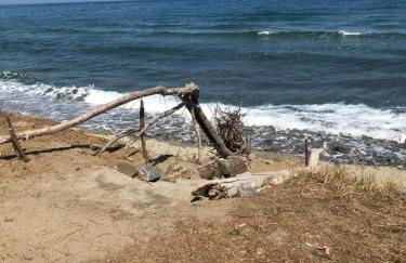 Residence Santa Lucia, studio avec piscine , vue mer et pied dans l'eau , Moriani-Plage - Foto 37