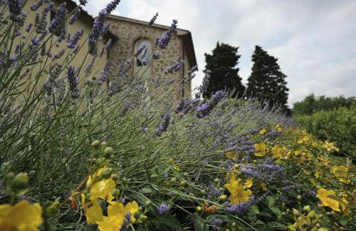 Borgo Casalvento - Foto 44