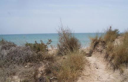 Apartamento junto al mar y al puerto de Guardamar - Foto 9