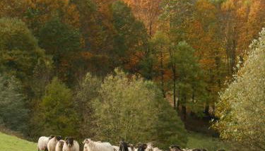 Apartamentos Rurales Kastonea - Foto 4