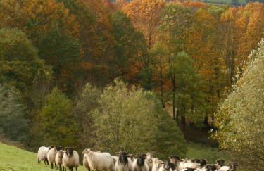 Apartamentos Rurales Kastonea - Foto 4