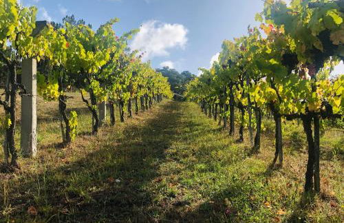 Pena De Roca - Foto 44