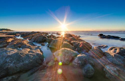 The Yellow Rose House - Foto 25