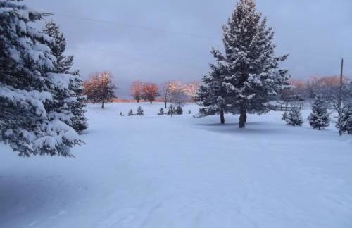 Rifle River Lodge - Foto 6