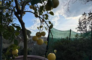 La Limonaia di Vanna - Foto 34