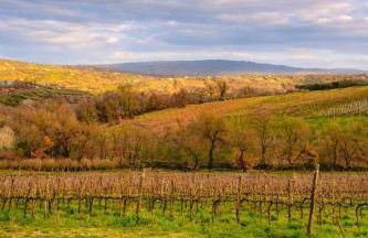 Agriturismo Casale 1921 - Foto 18