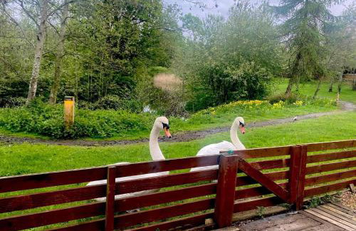 Laura's Lodge Hot Tub Log Cabin, Felmoor Park, Morpeth, Northumberland - Photo 40